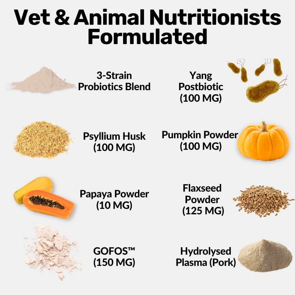 Pre Pro Powder Pre, Pro & Postbiotic Powder - NutriPaw