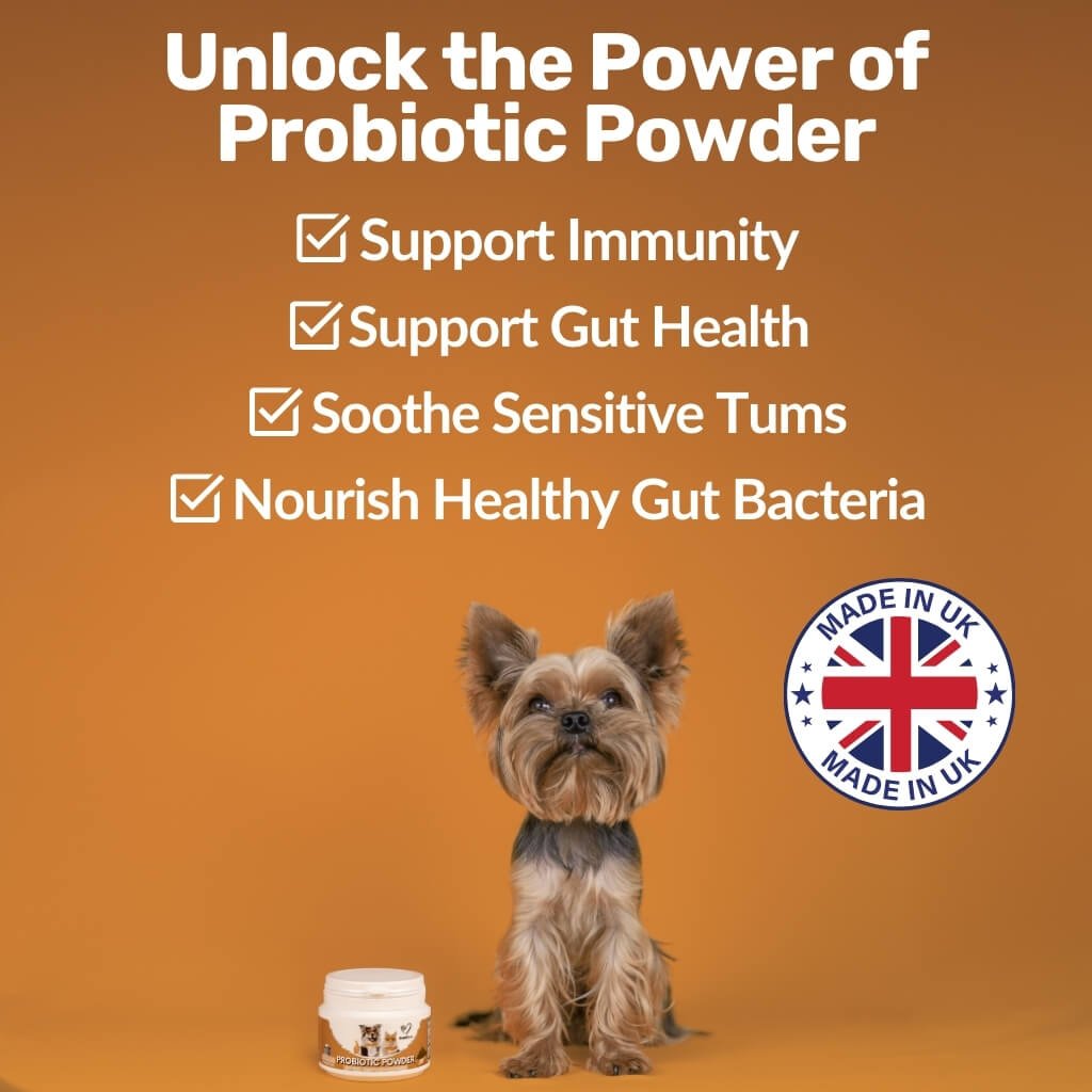 Pre, Pro &amp; Postbiotic Powder - NutriPaw