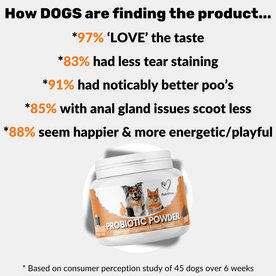 Pre, Pro & Postbiotic Powder - NutriPaw