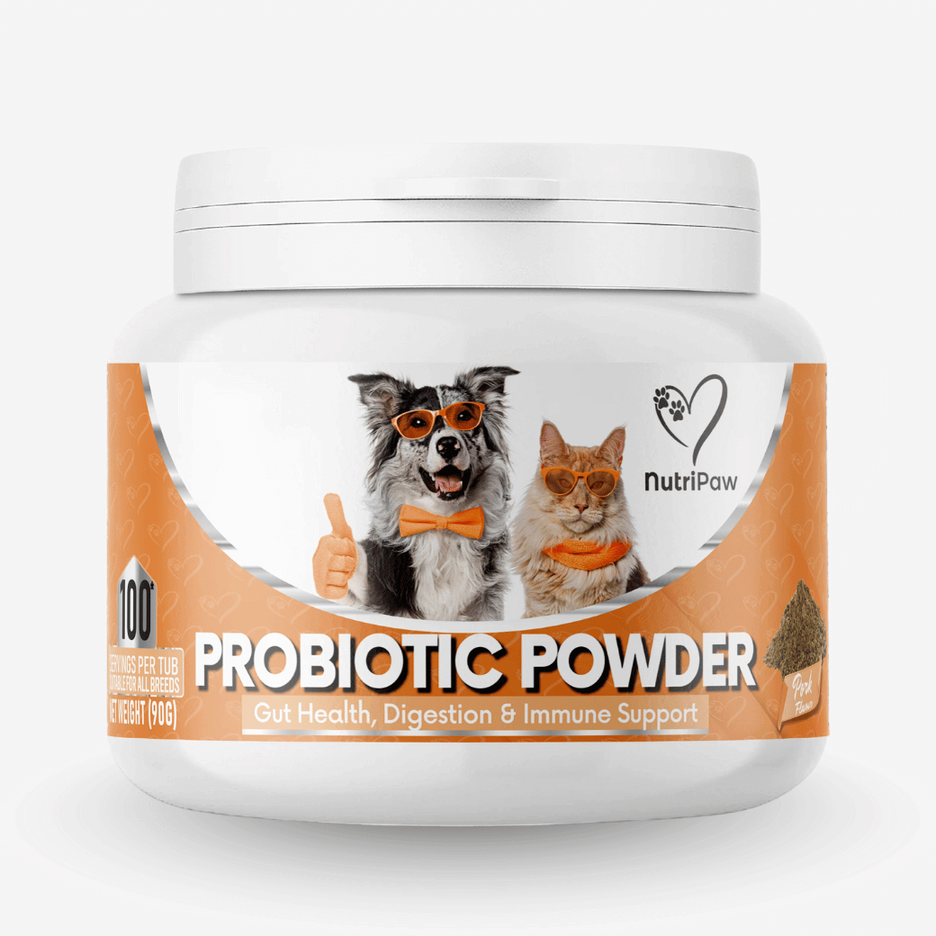 Pre, Pro & Postbiotic Powder BFCM - NutriPaw