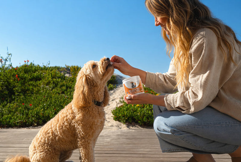 Pre + Pro + Postbiotics in a single daily treat.