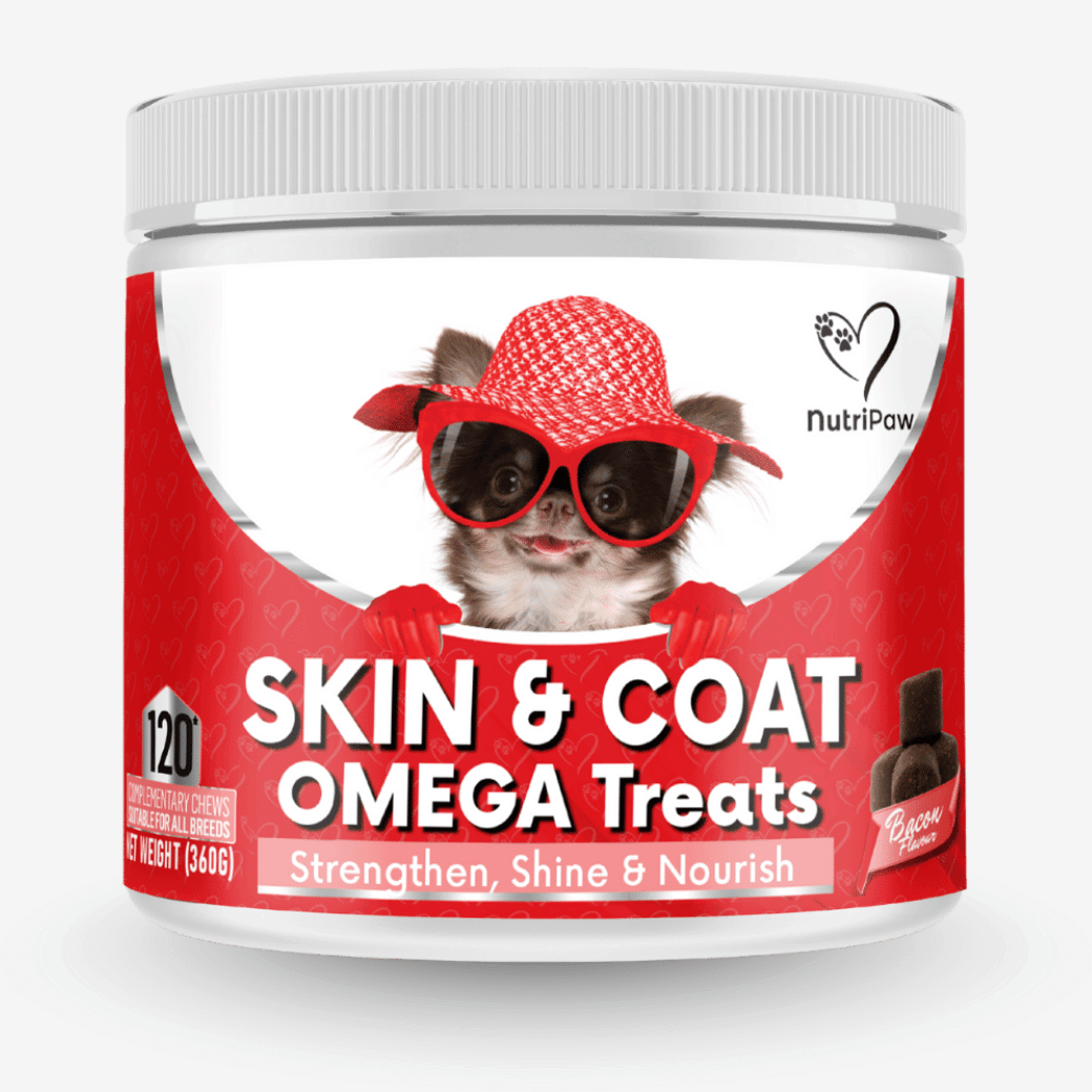 Skin & Coat Treats BFCM - NutriPaw