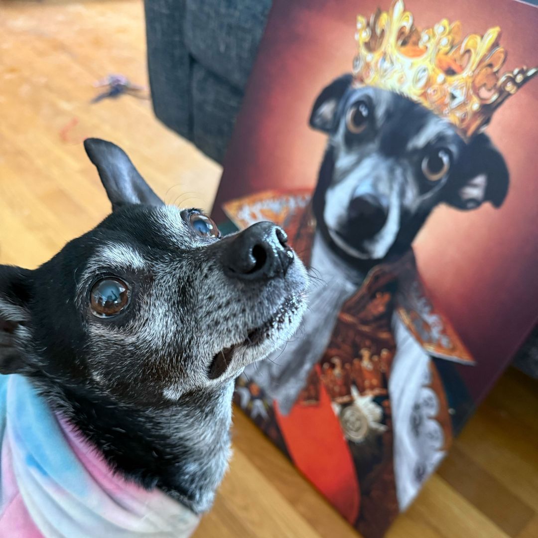 The King - Renaissance Pet Portrait - NutriPaw