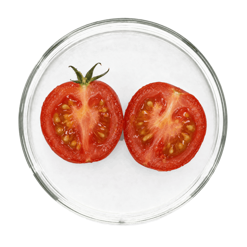 Tomato