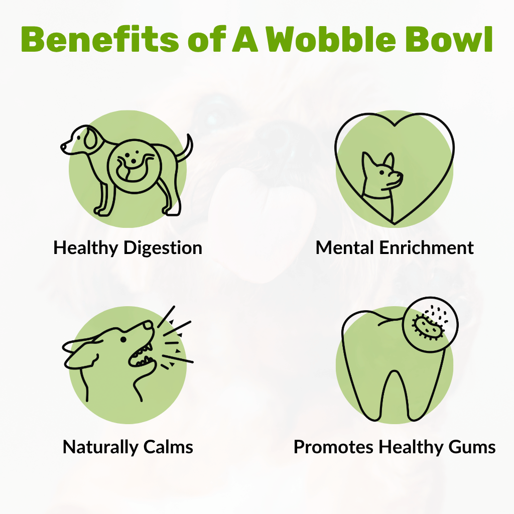 Wobble Lick Bowl - NutriPaw