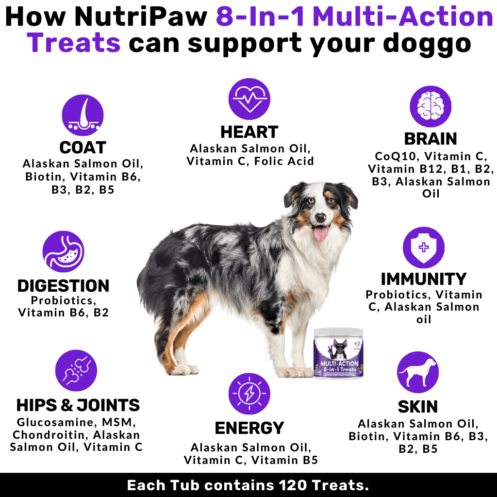 6 Pack of 8-in-1 Multi-Action Treats - NutriPaw
