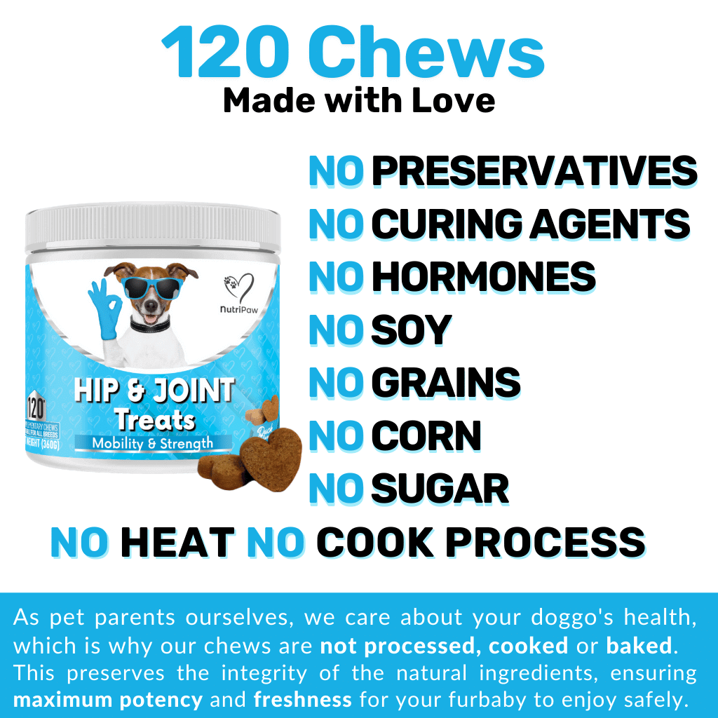 6 Pack of Hip & Joint Treats - NutriPaw