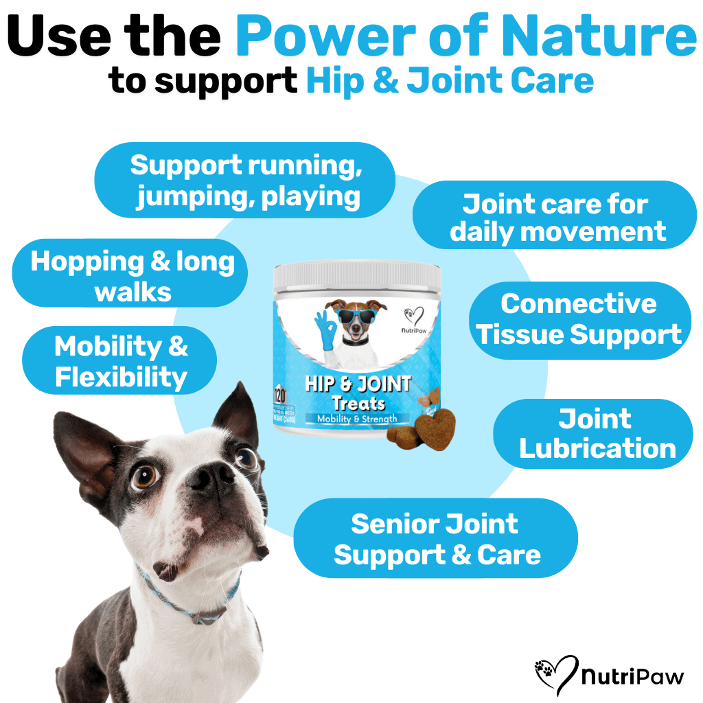 6 Pack of Hip & Joint Treats - NutriPaw