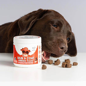 6 Pack of Skin, Coat & Nails Omega Treats - NutriPaw