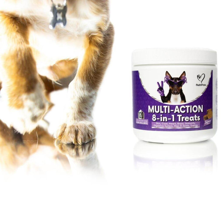 8-in-1 Multi-Action Treats - NutriPaw