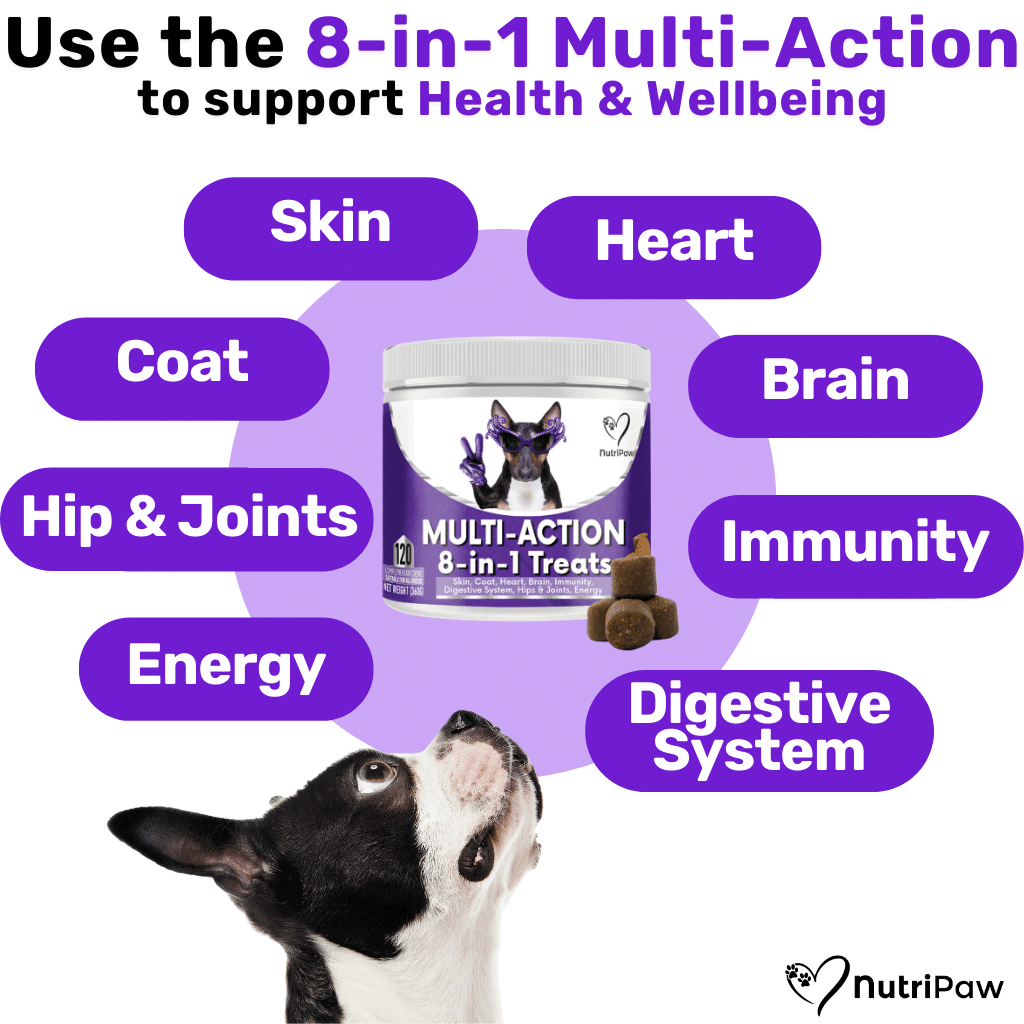 8-in-1 Multi-Action Treats - NutriPaw