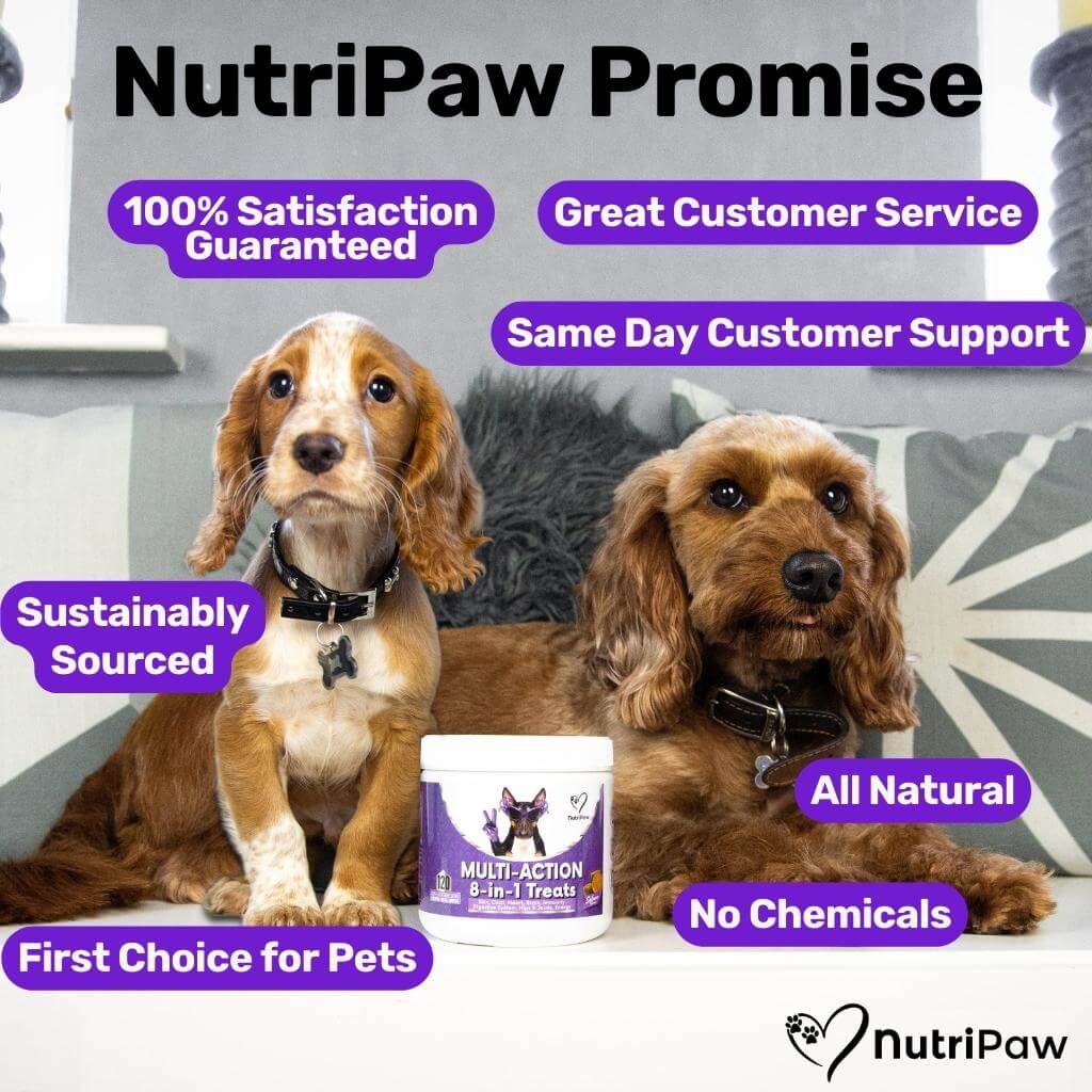 8-in-1 Multi-Action Treats - NutriPaw