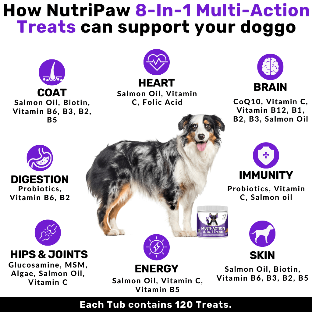 //nutri-paw.com/cdn/shop/products/8-in-1-multi-action-treats-994609.png?v=1696981017
