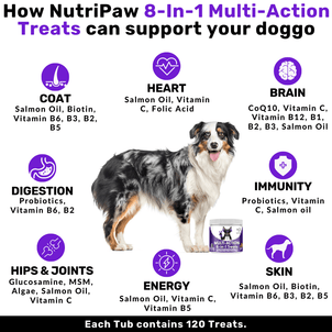 8-in-1 Multi-Action Treats - NutriPaw