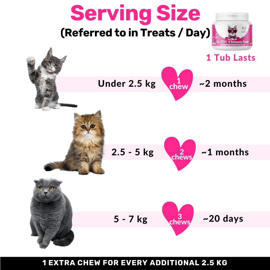 How Many Treats Should I Give My Cat a Day: Expert Tips Revealed