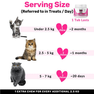 All-Itch for Cats - NutriPaw
