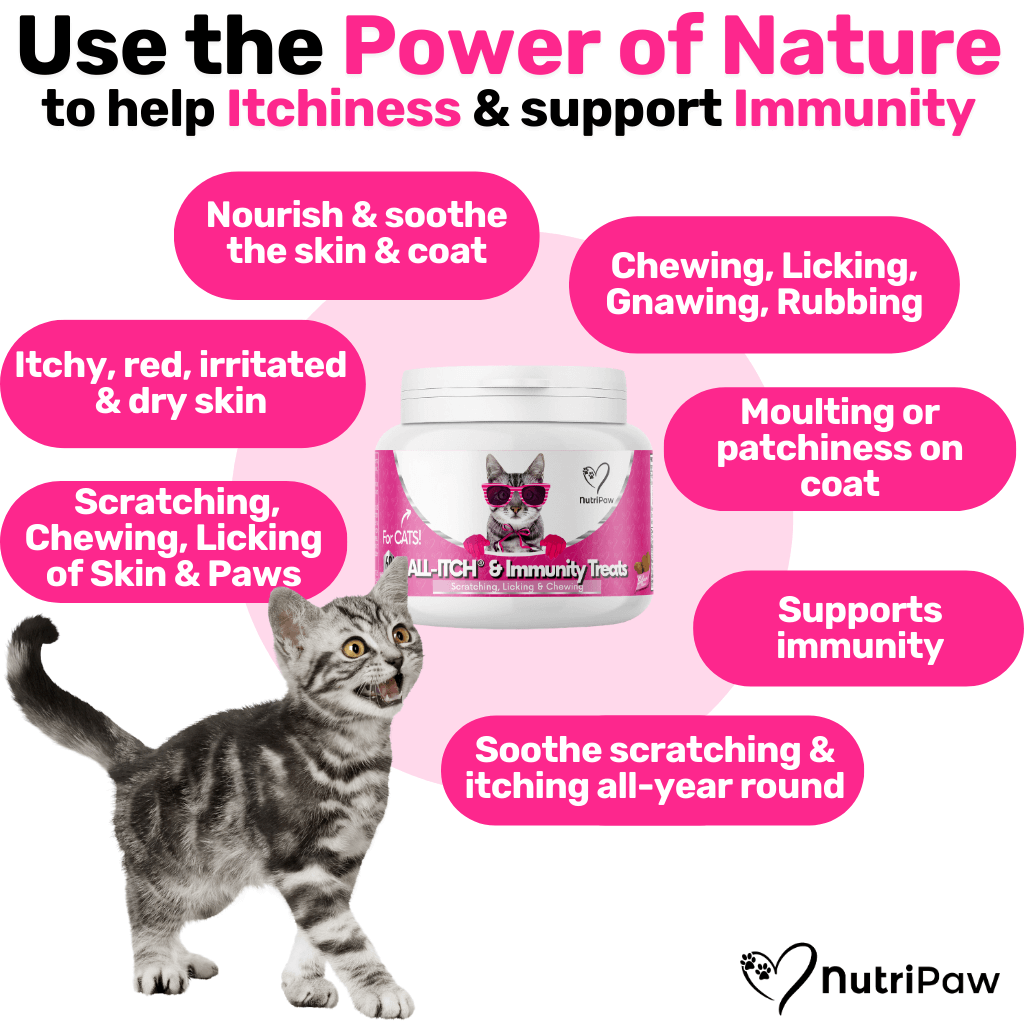 All-Itch for Cats - NutriPaw