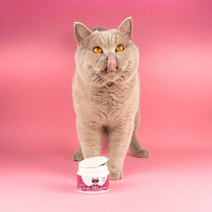 All-Itch for Cats - NutriPaw