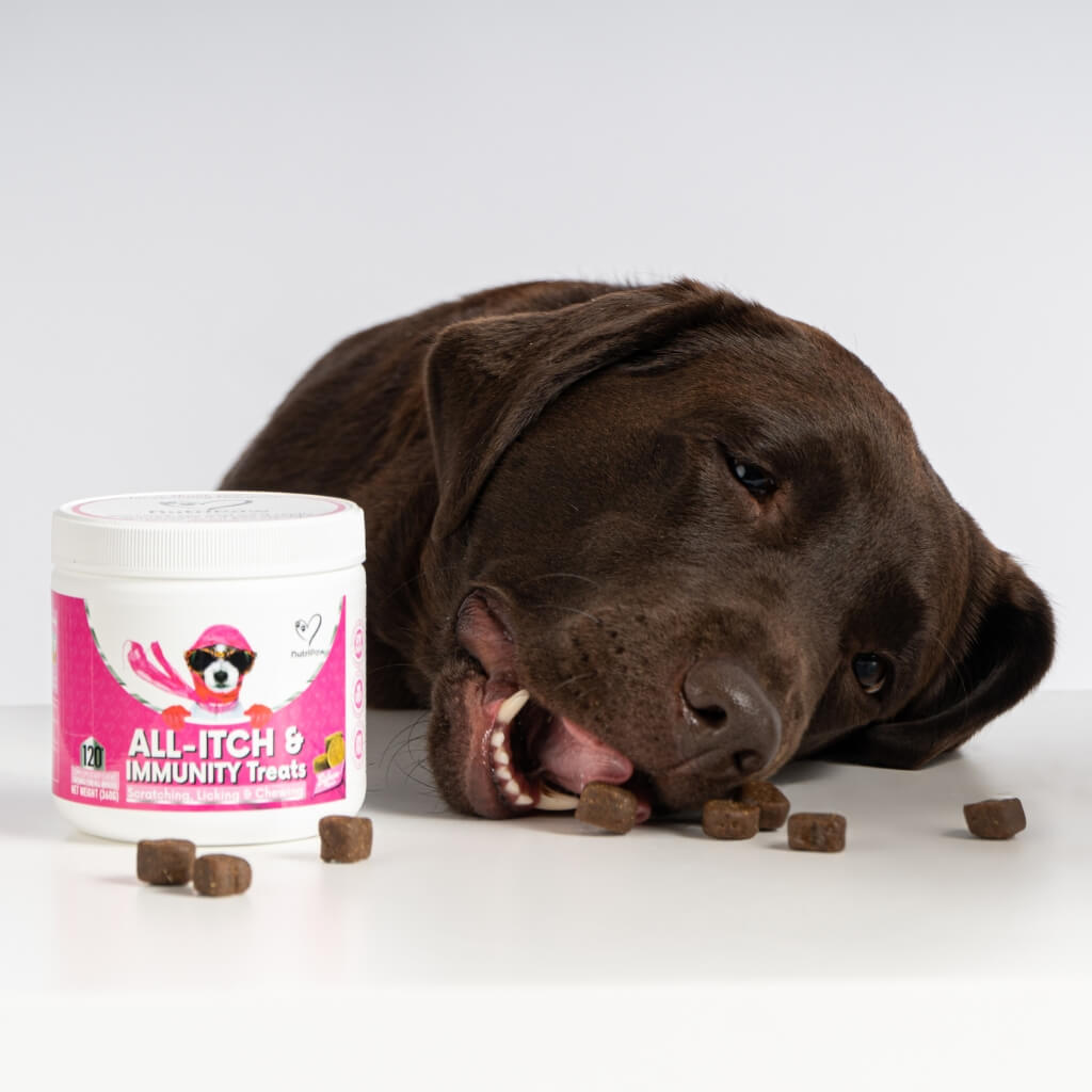 Boredom Busters for Pets – Paw Naturals