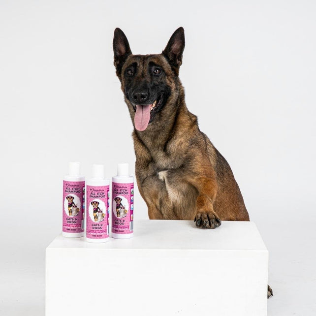 All-Itch Shampoo - NutriPaw