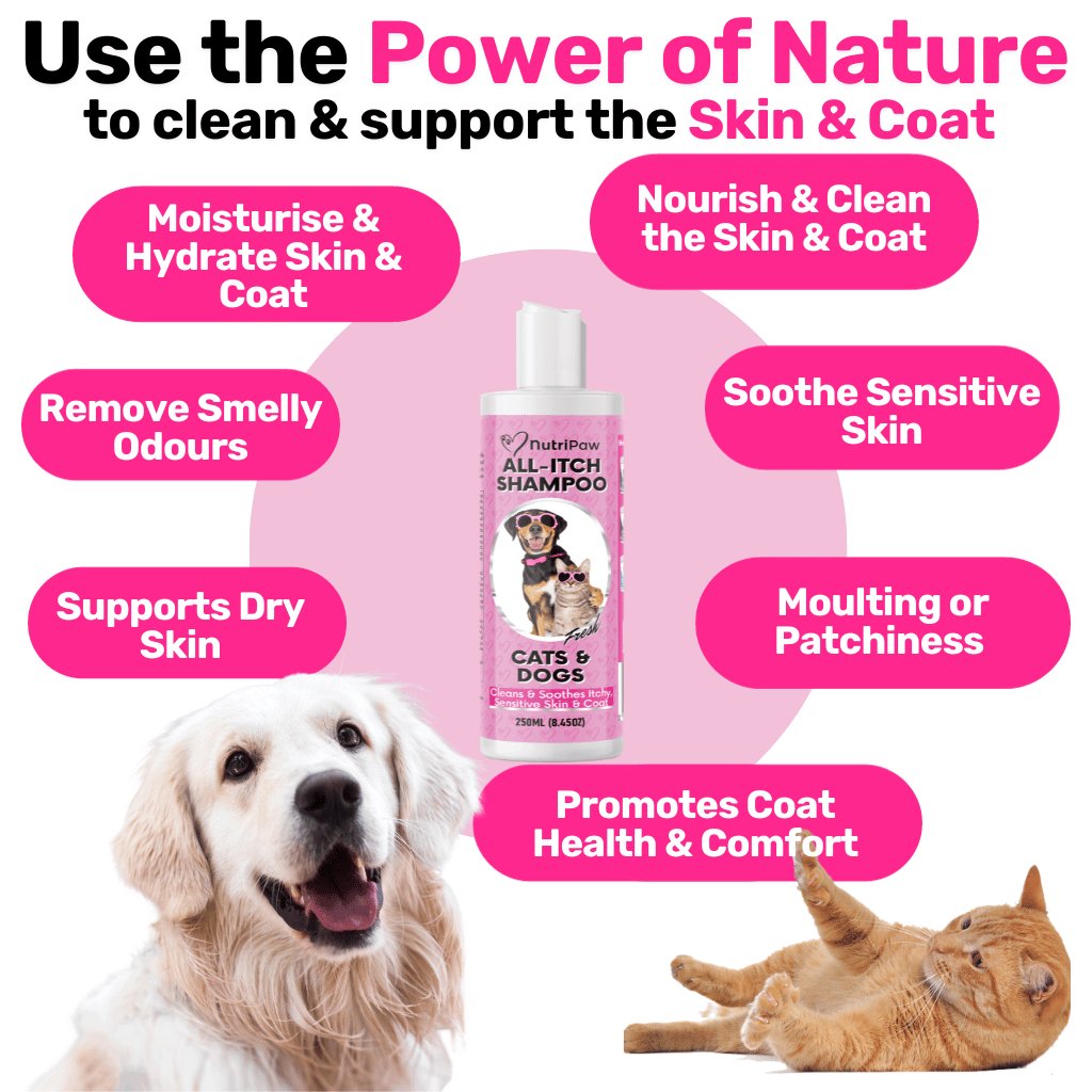 All-Itch Shampoo - NutriPaw