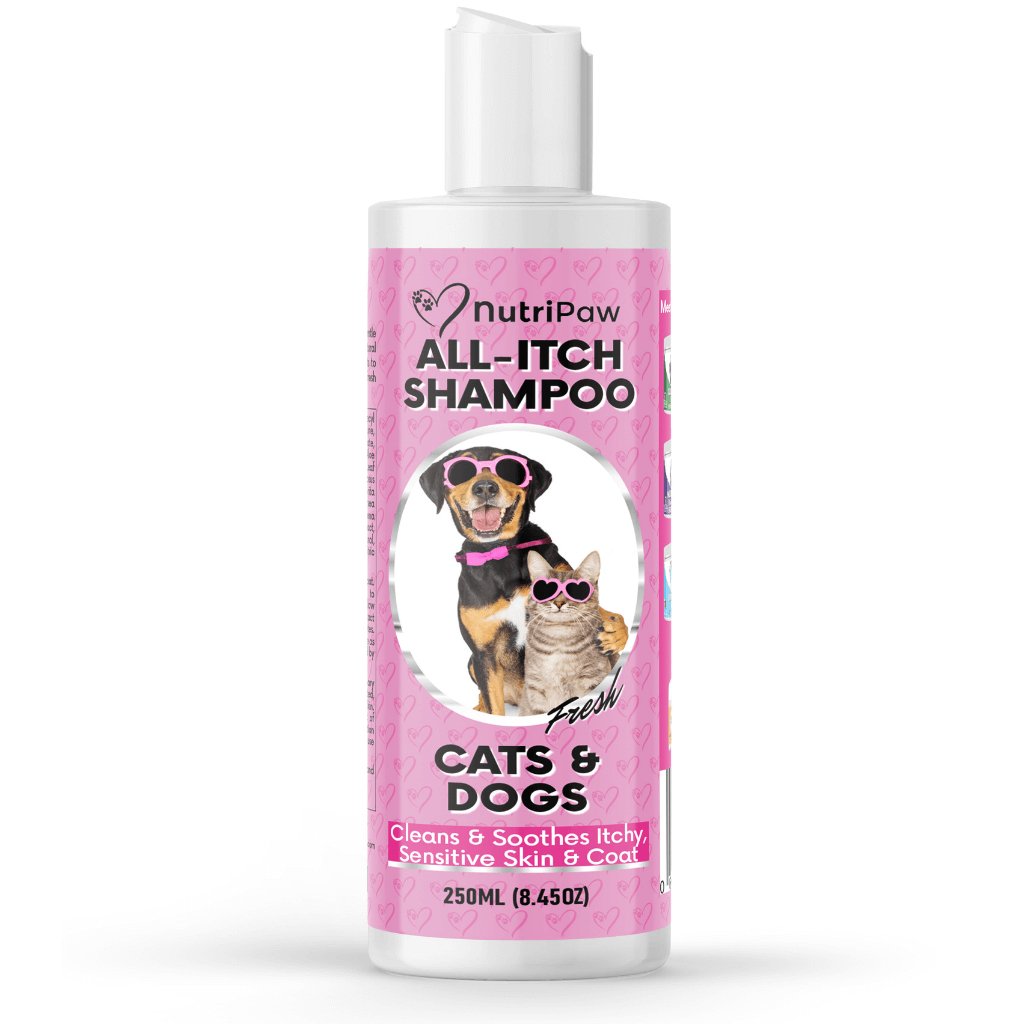 All-Itch Shampoo - NutriPaw