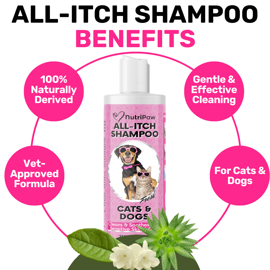 All-Itch Shampoo - NutriPaw