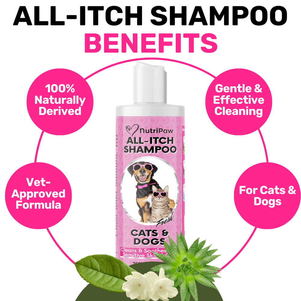 All-Itch Shampoo - NutriPaw