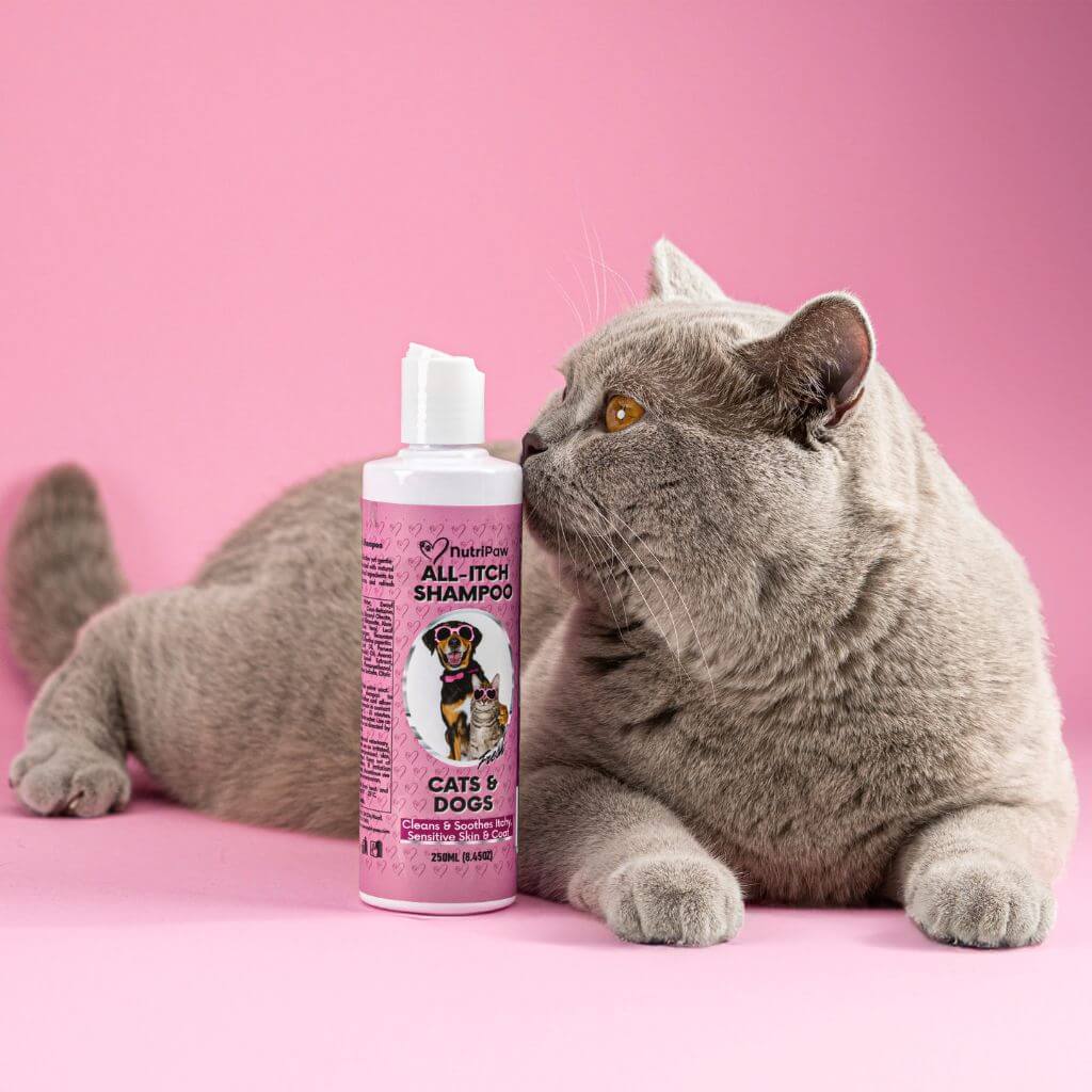 All-Itch Shampoo - NutriPaw