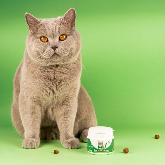 Calming for Cats - NutriPaw