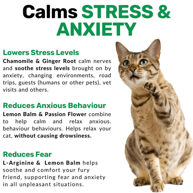 Calming for Cats - NutriPaw