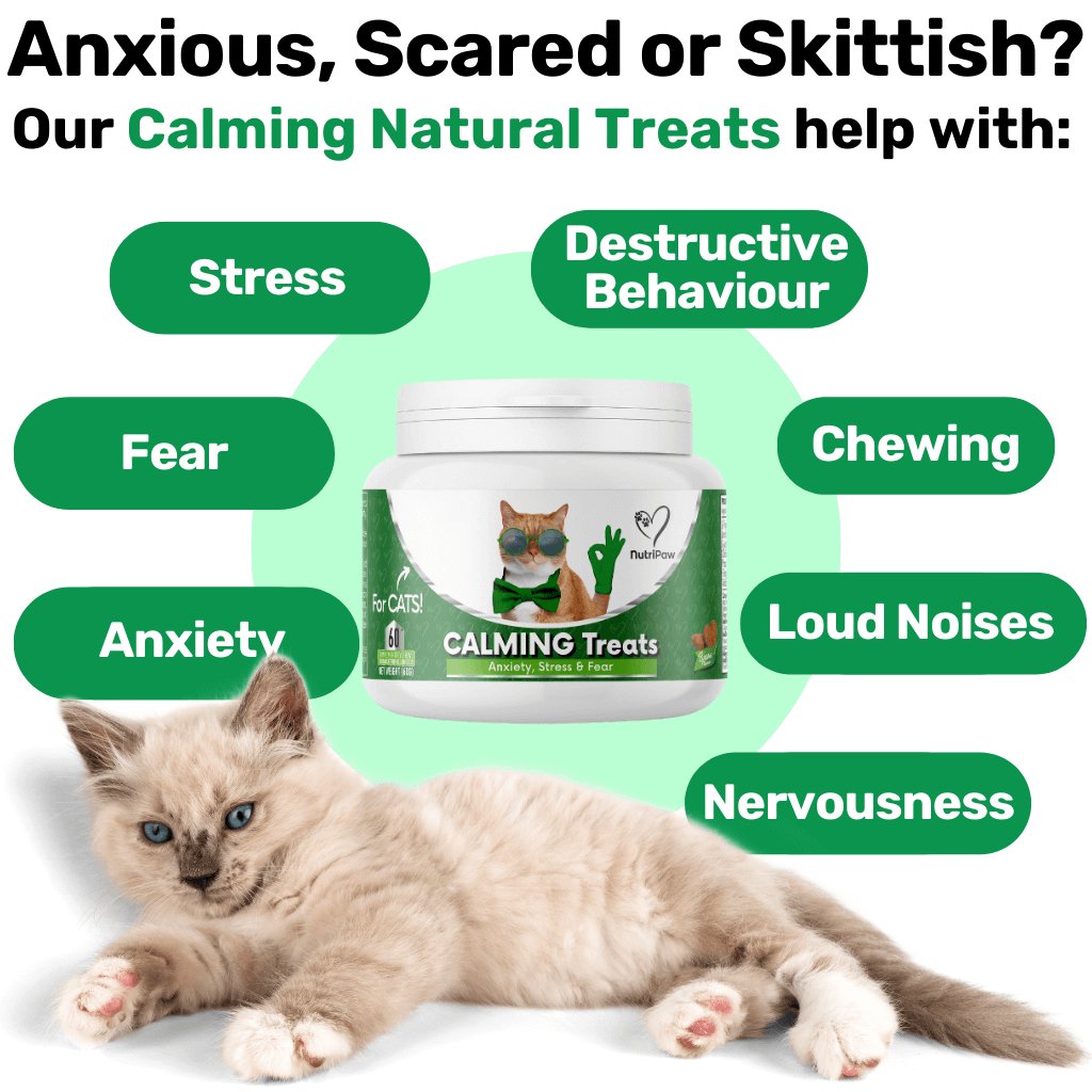 Calming for Cats - NutriPaw