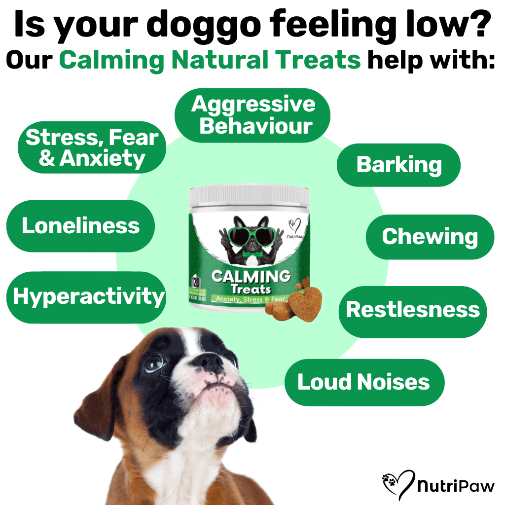 All natural calming product for dogs deals