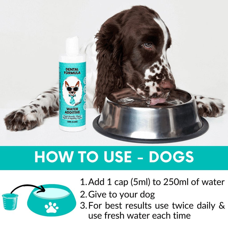 Dental Formula Water Additive - NutriPaw