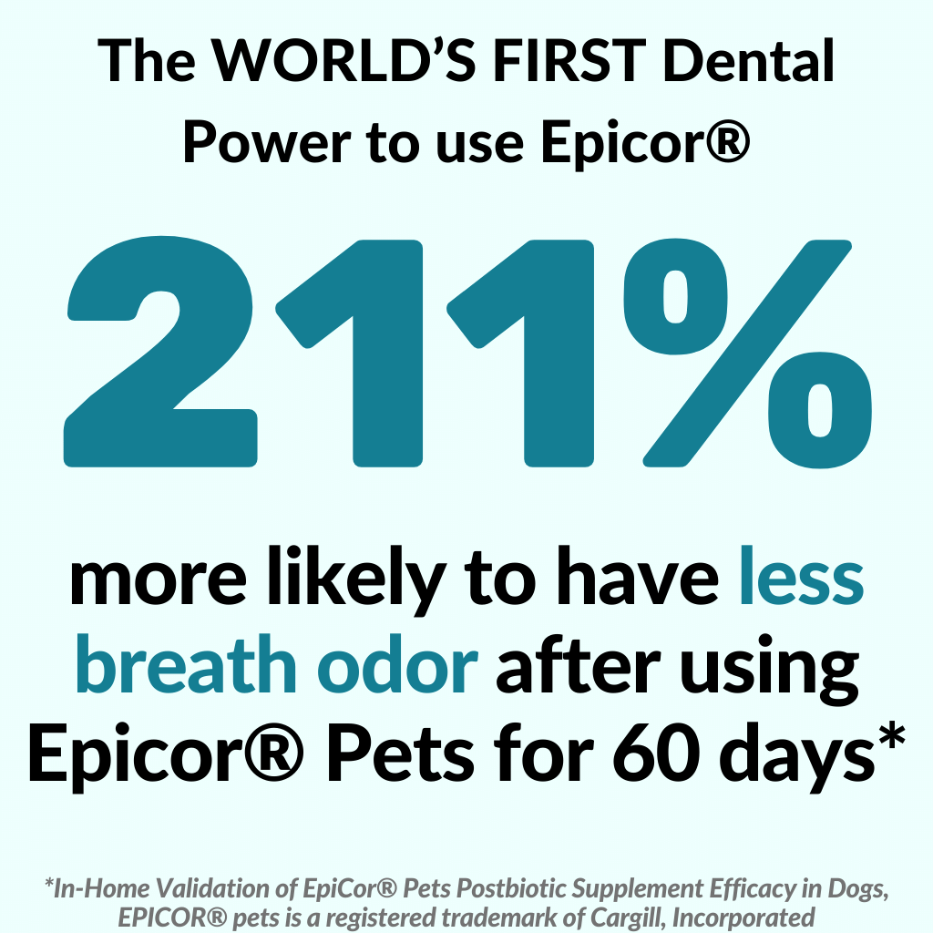 Dental Kit - NutriPaw