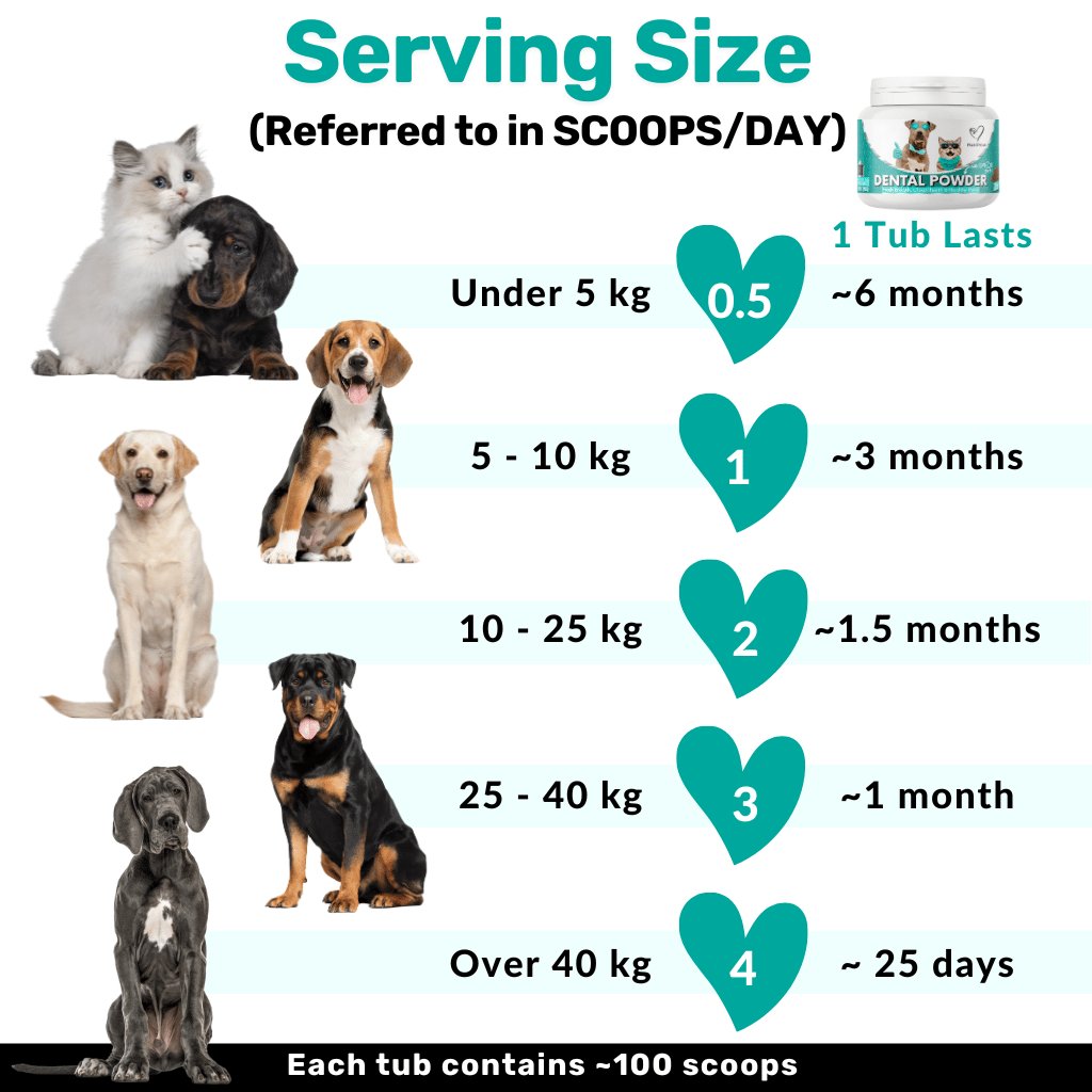 Dental Powder NutriPaw dental-powder-nutripaw