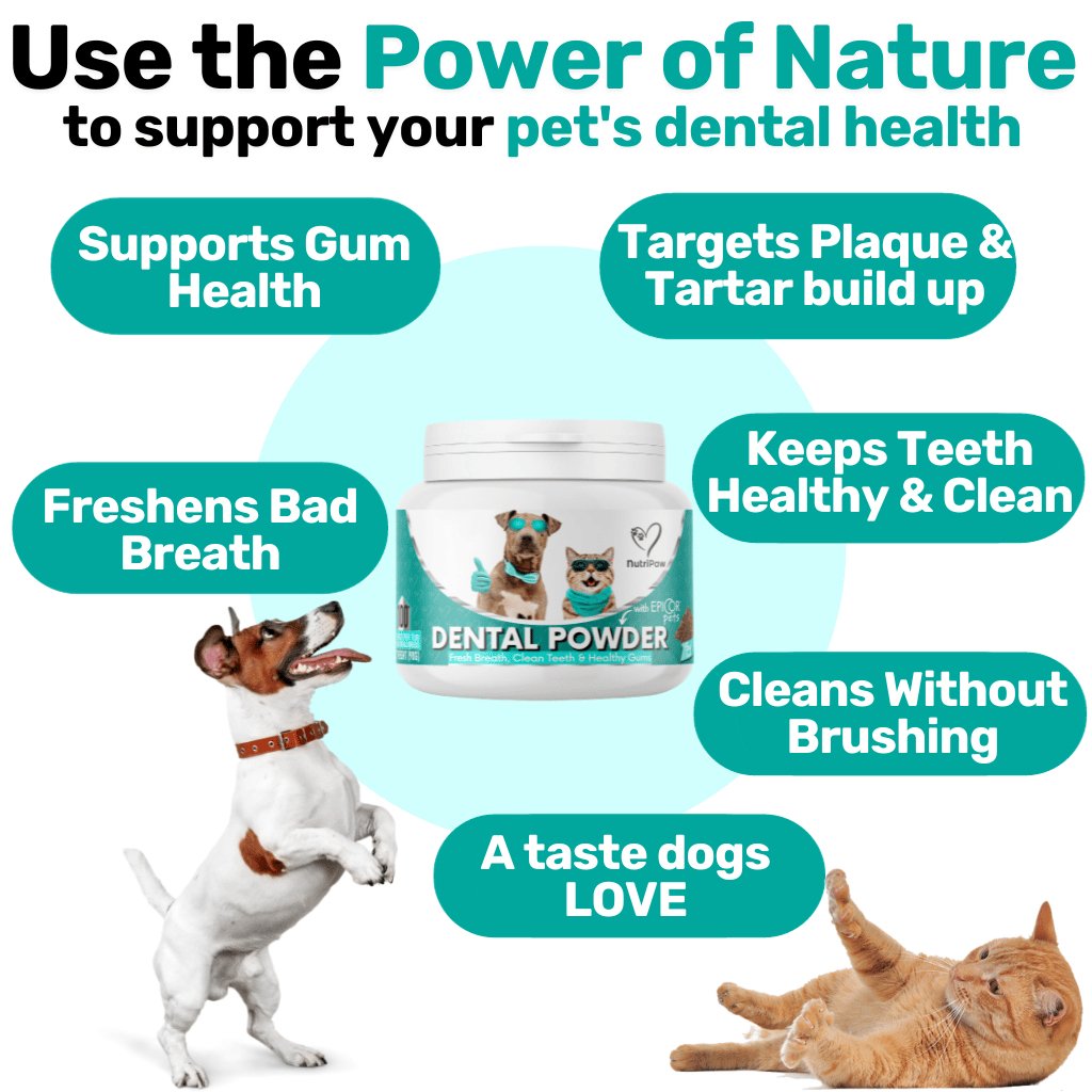 Dental Powder - NutriPaw