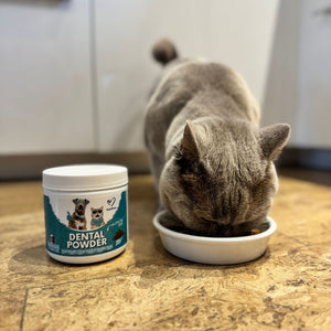 Dental Powder - NutriPaw