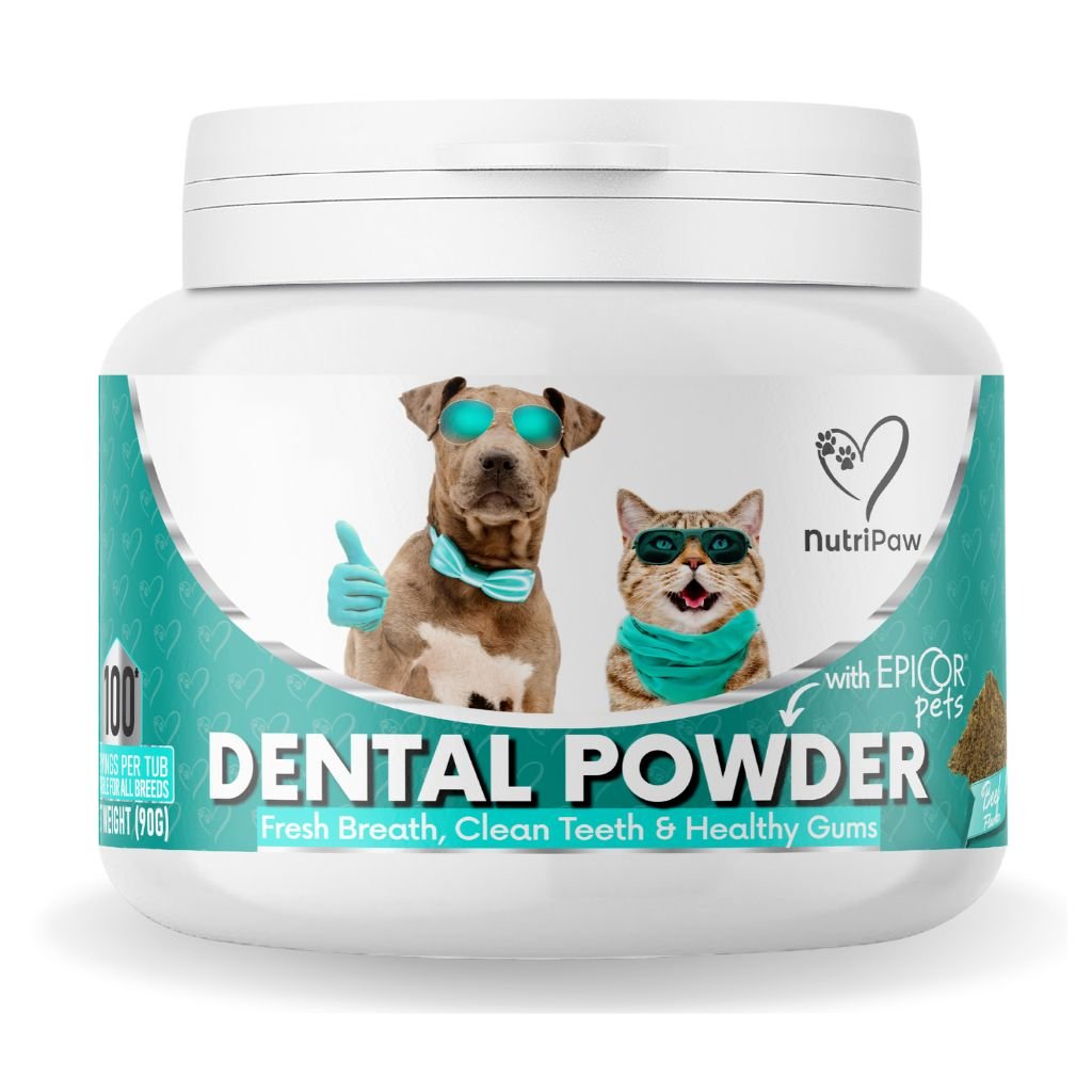 Dental Powder - NutriPaw