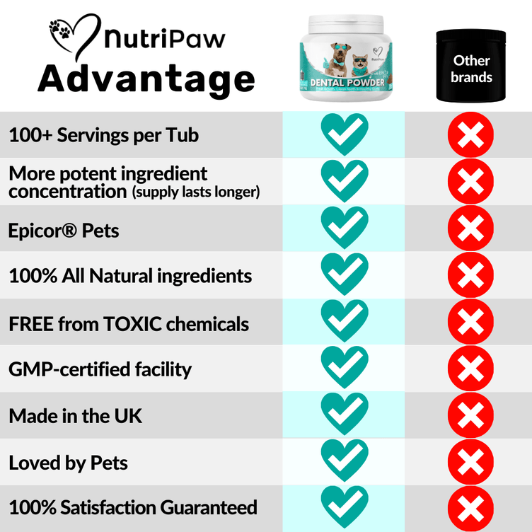 Dental Powder - NutriPaw