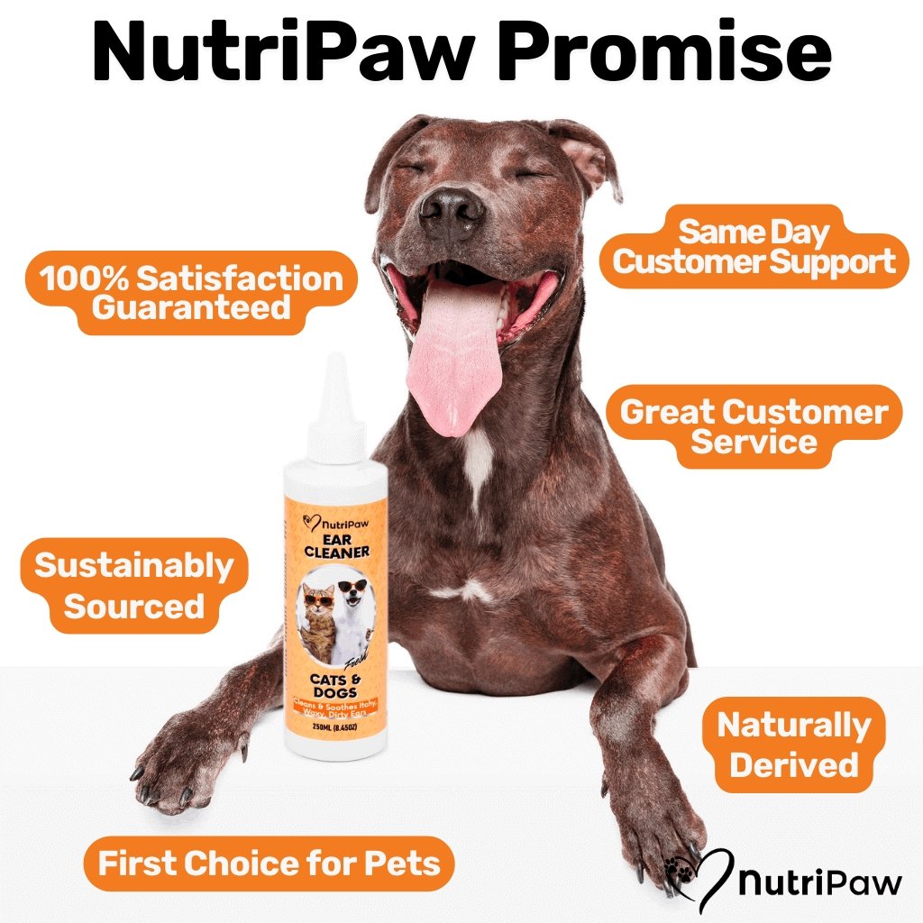 Ear Cleaner - NutriPaw