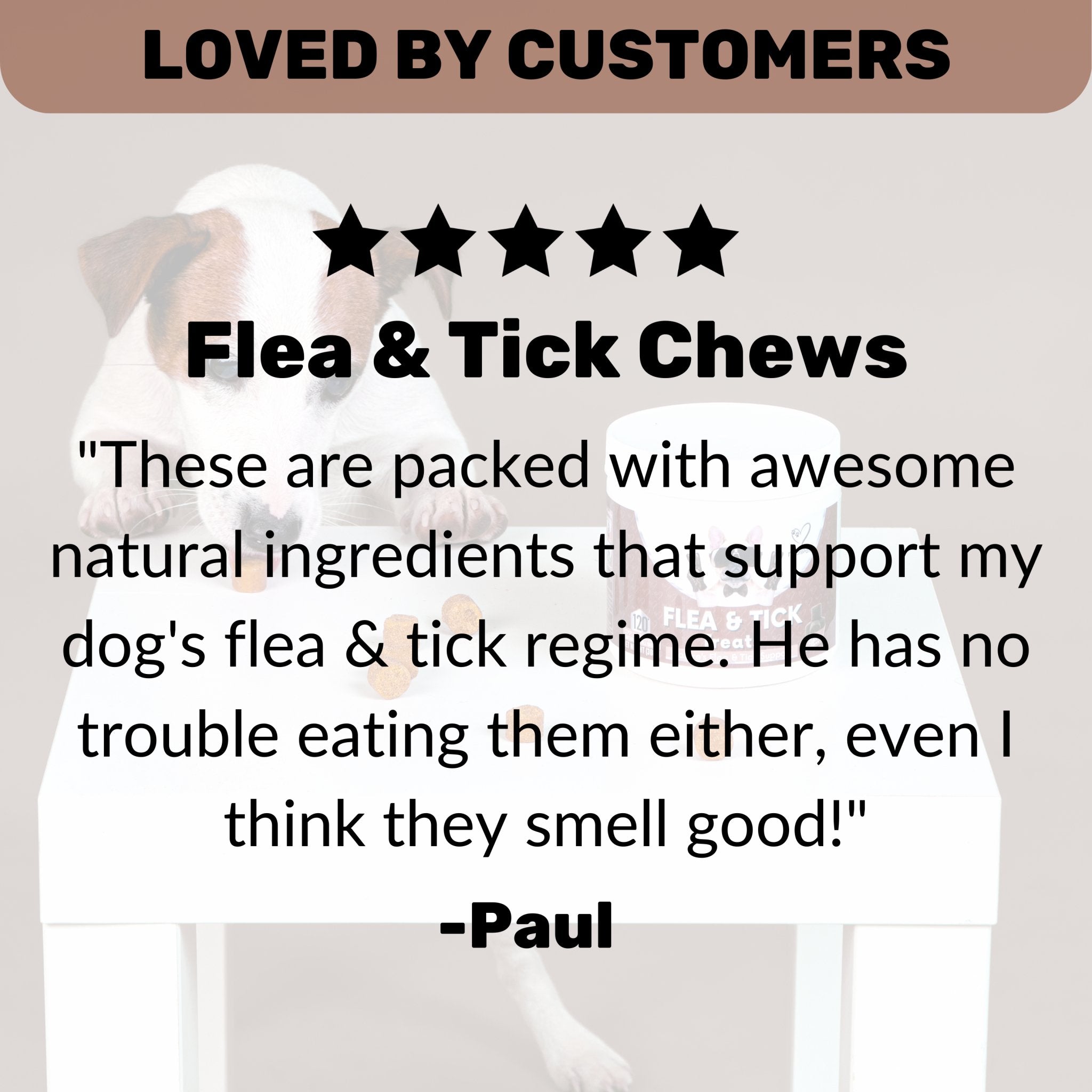 Flea & Tick - NutriPaw