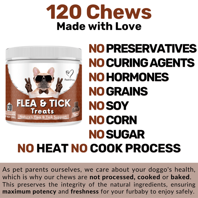 Flea & Tick Chew - NutriPaw