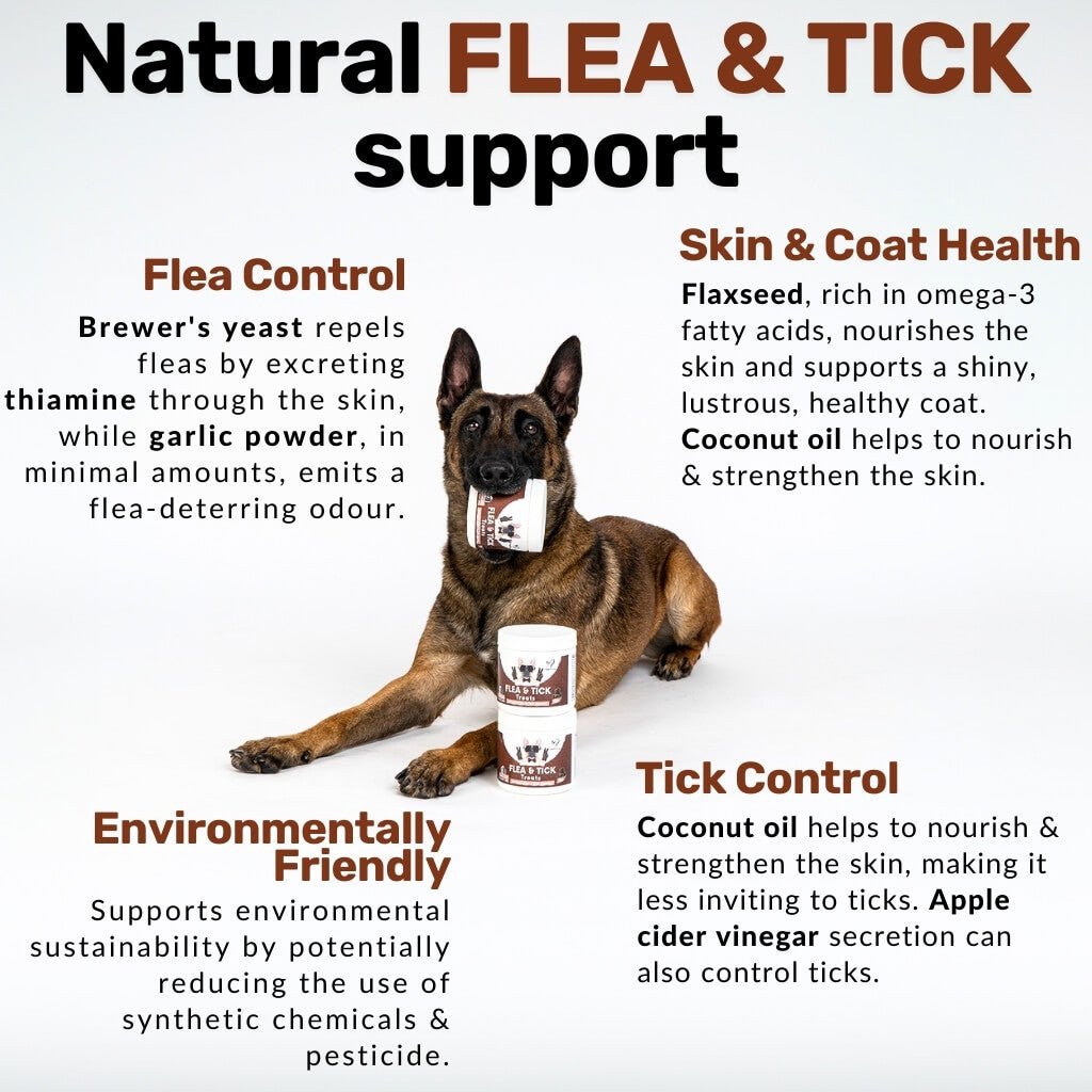 Flea & Tick Chew - NutriPaw