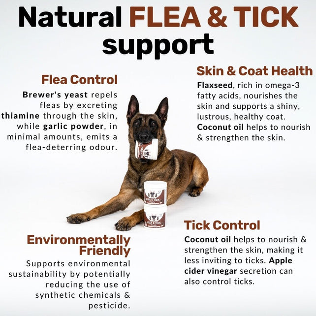 Flea & Tick Chew - NutriPaw