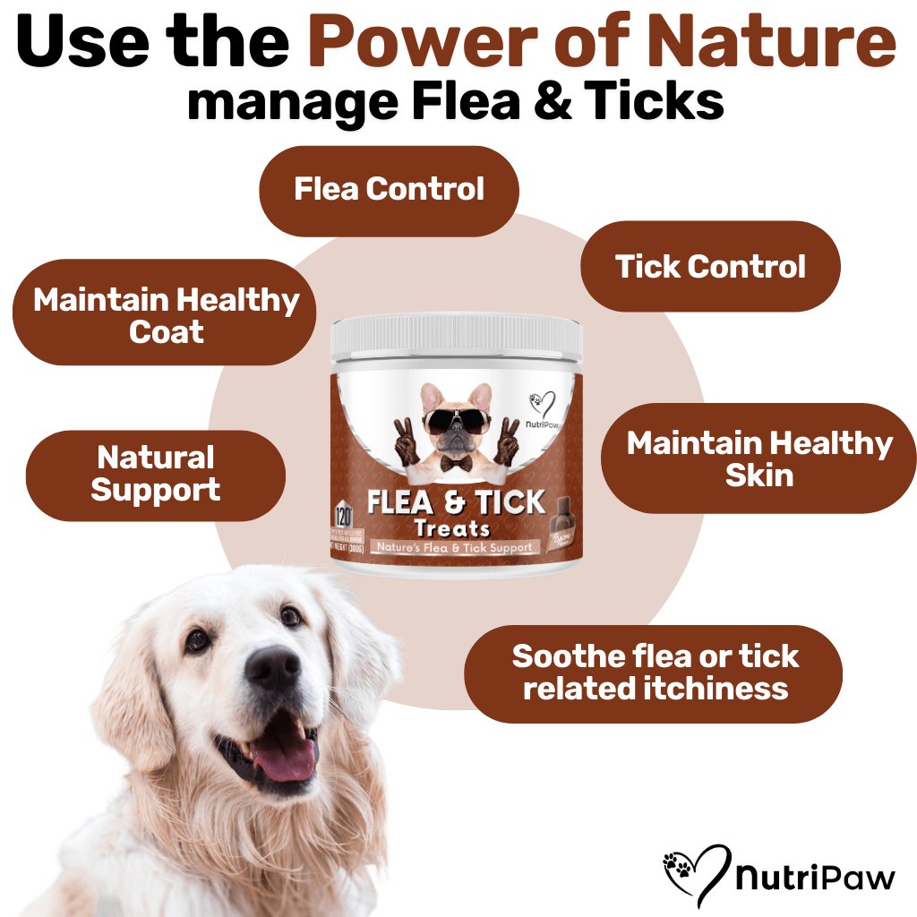 Flea & Tick Chew - NutriPaw