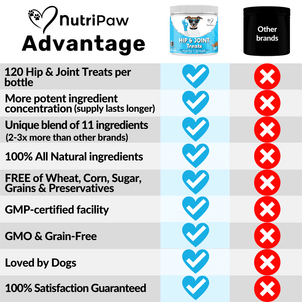 Hip & Joint Treats - NutriPaw