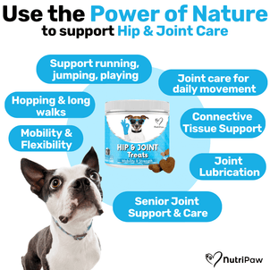 Hip & Joint Treats - NutriPaw