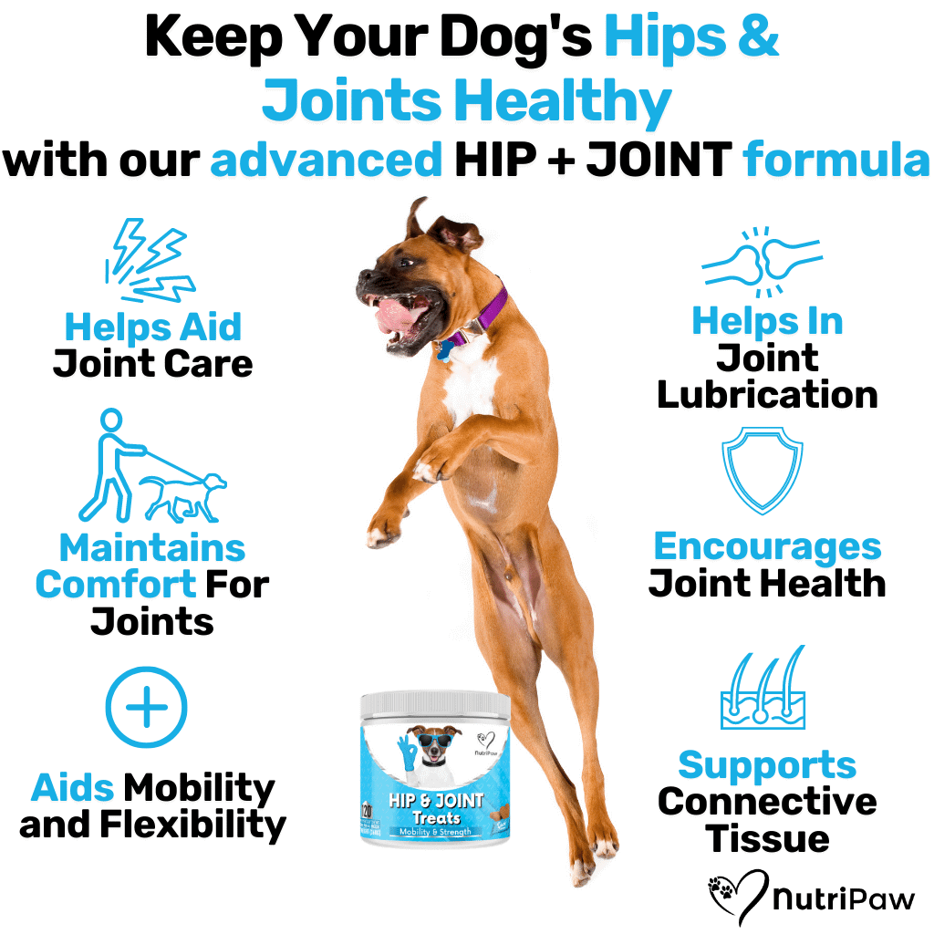 Hip Joint Treats for dogs Mobility Strength NutriPaw