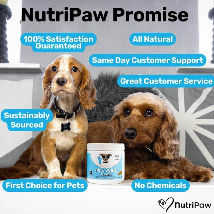 Hip & Joint Treats - NutriPaw